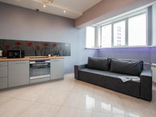 1-комн. квартира, 55 м², 14/16 этаж