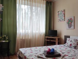 1-комн. квартира, 31 м², 4/5 этаж