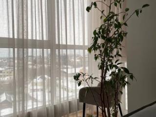 2-комн. квартира, 82 м², 9/15 этаж
